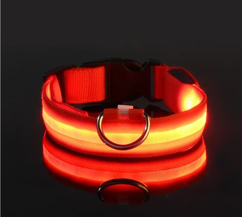 LED Dog Collar – Rechargeable Night Safety Glowing Pet Collar