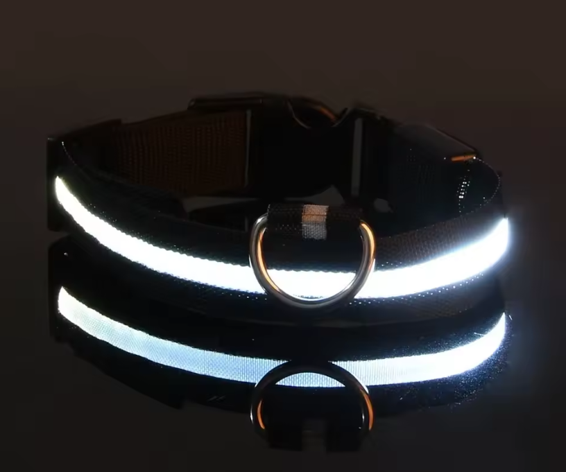 LED Dog Collar – Rechargeable Night Safety Glowing Pet Collar