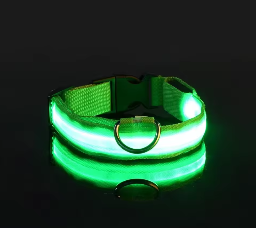 LED Dog Collar – Rechargeable Night Safety Glowing Pet Collar