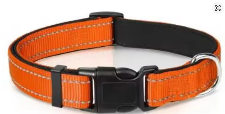 Reflective Adjustable Dog Collar – High Visibility Safety Collar for Dogs