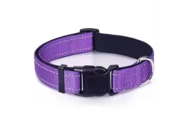 Reflective Adjustable Dog Collar – High Visibility Safety Collar for Dogs
