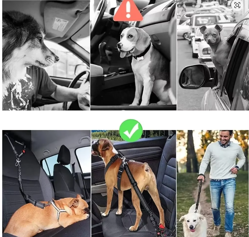 2-in-1 Dog Car Seat Belt Headrest Restraint – Adjustable Reflective Safety Tether