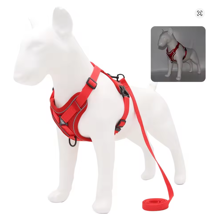 No-Pull Dog Harness & Leash Set – Adjustable Soft Mesh Vest for Small & Medium Dogs