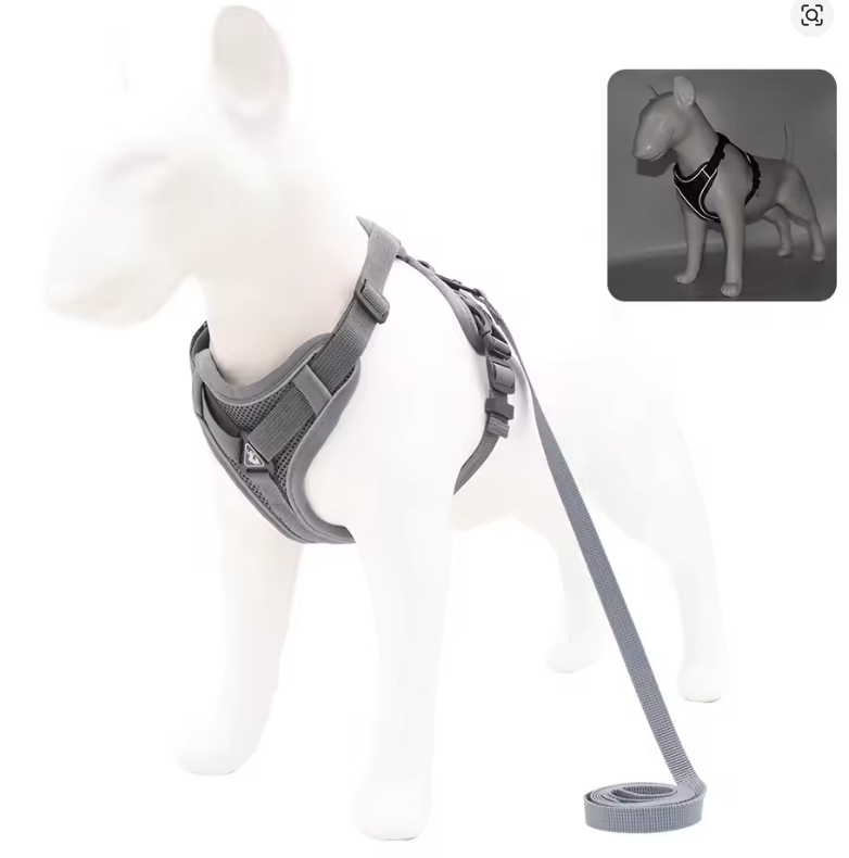 No-Pull Dog Harness & Leash Set – Adjustable Soft Mesh Vest for Small & Medium Dogs