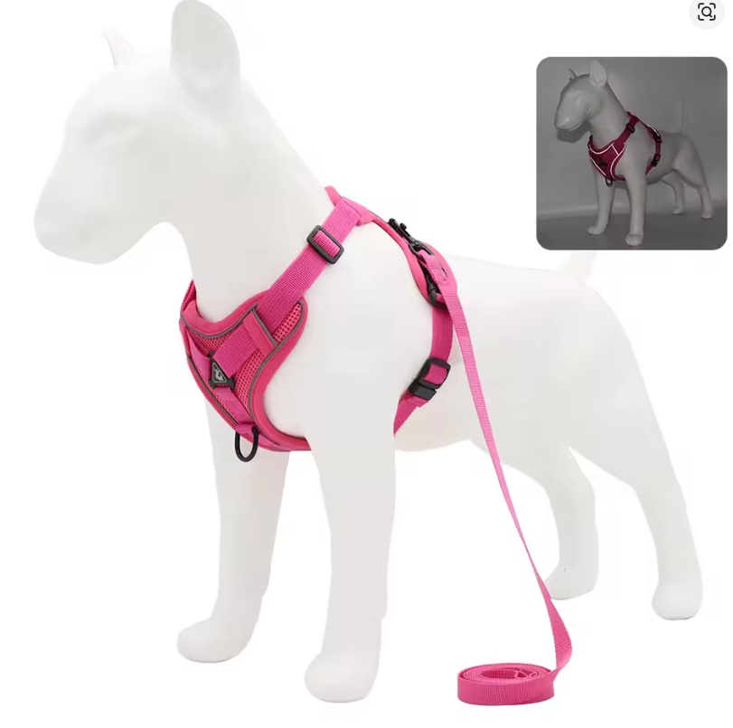 No-Pull Dog Harness & Leash Set – Adjustable Soft Mesh Vest for Small & Medium Dogs
