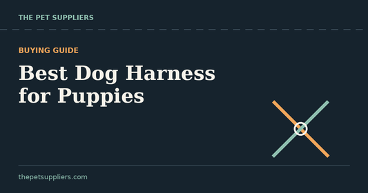 Best Dog Harness for Puppies - Buying Guide
