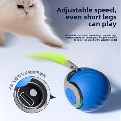 Interactive Cat Teaser Ball Toy