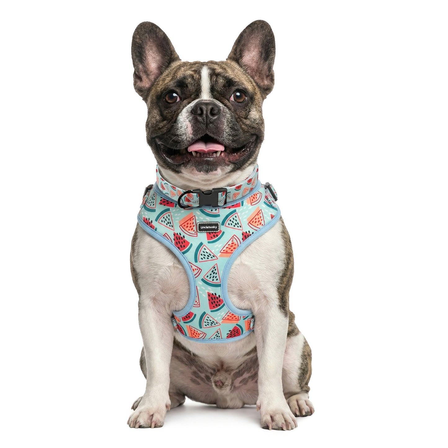 Summer Watermelon Dog Harness Set