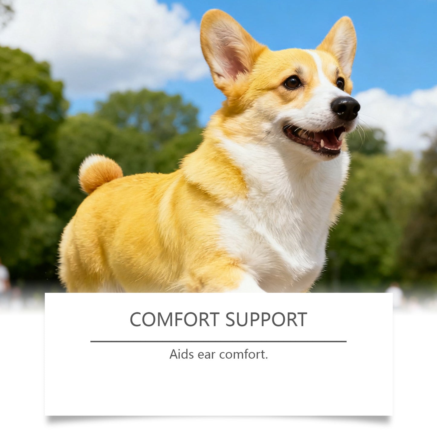 Dog Ear Cleaning Drops for Comfortable Daily Ear Care