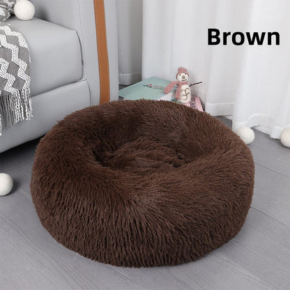 Cat bed