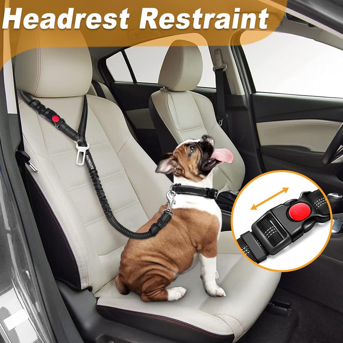 Retractable Dog Car Safety Leash for Medium Dogs