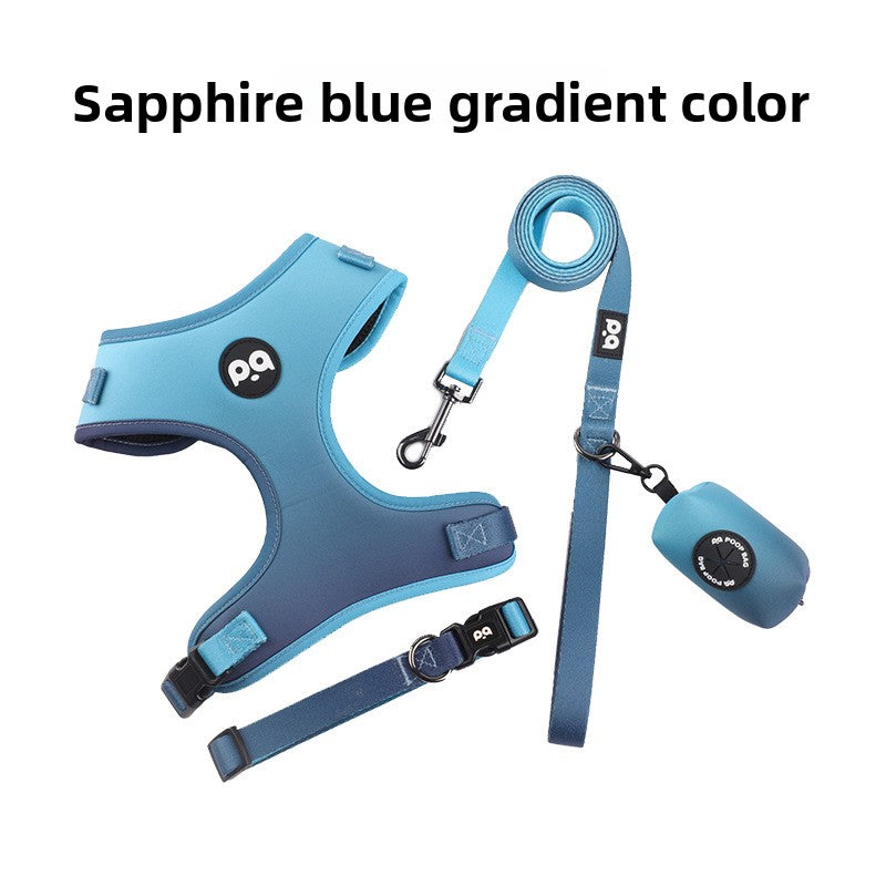 Adjustable Dog Leash and Collar Set