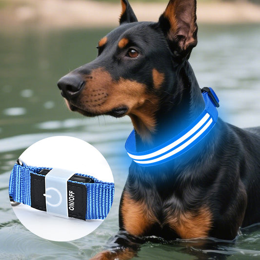 LED Pet Safety Collar