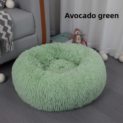 Cat bed