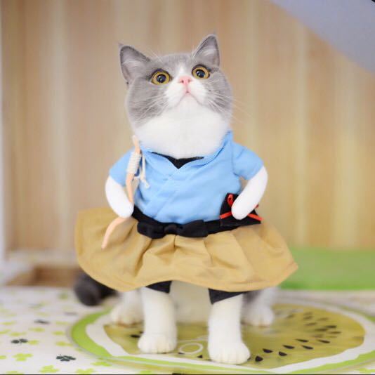Funny Pet Transformation Costume
