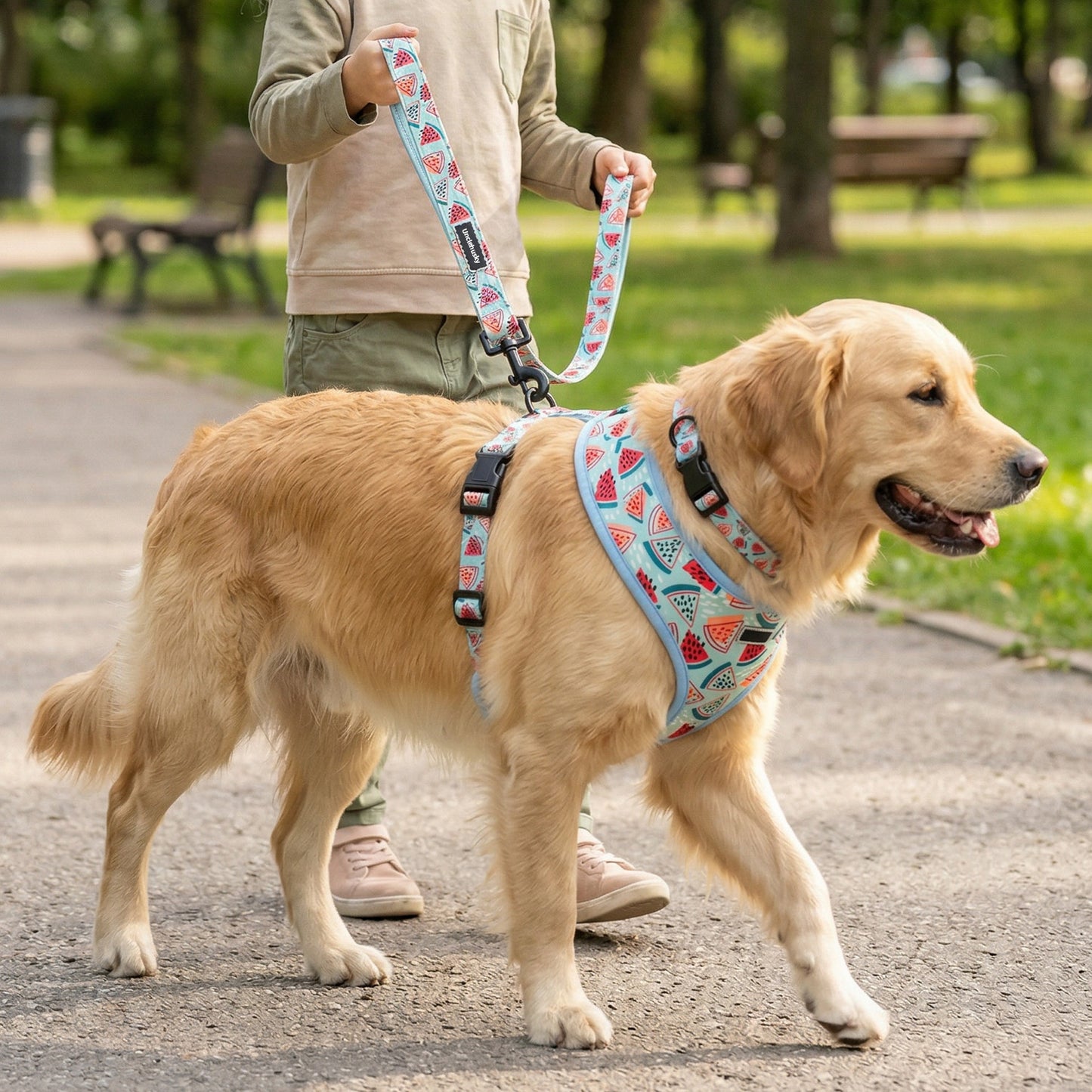 Summer Watermelon Dog Harness Set