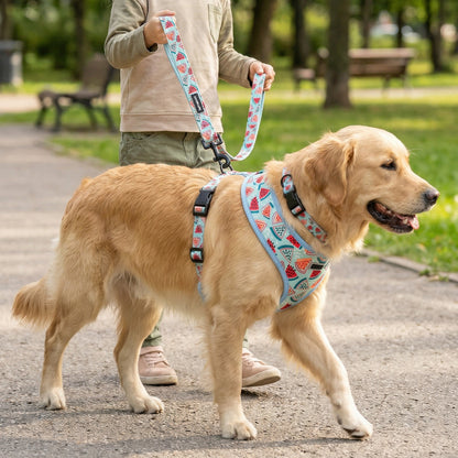 Summer Watermelon Dog Harness Set
