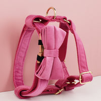 Velvet Dog Collar Leash Bow Tie
