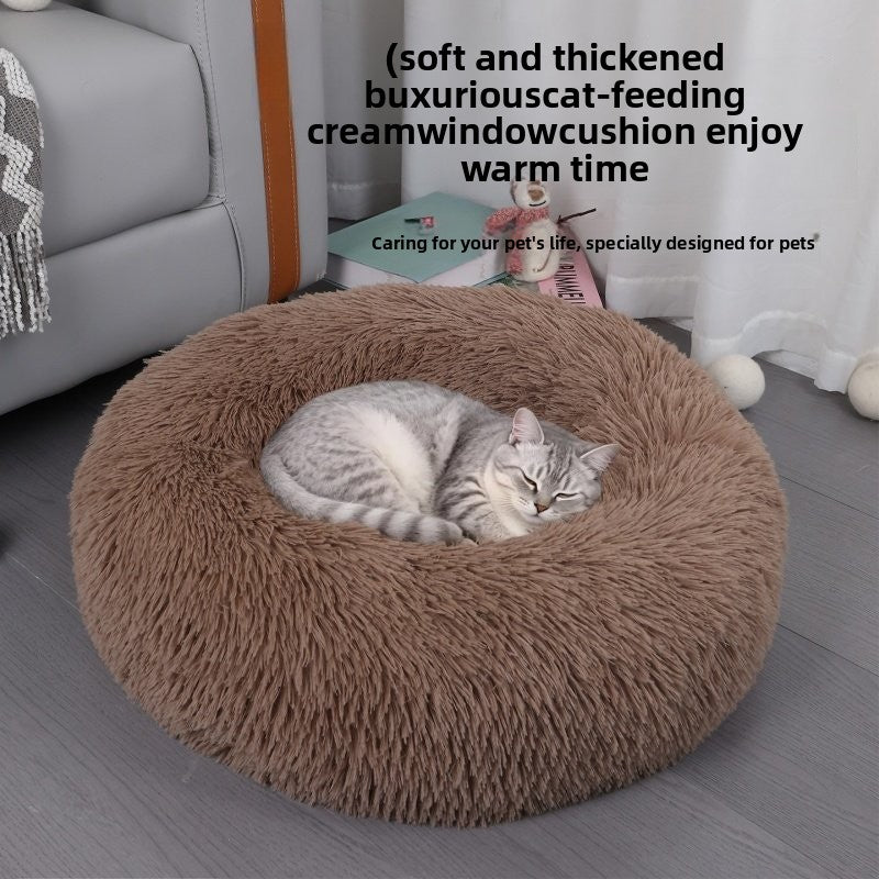 Cat bed
