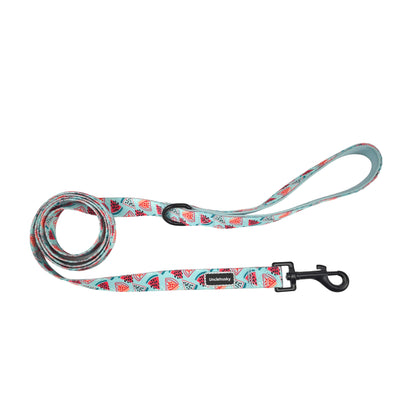 Summer Watermelon Dog Harness Set