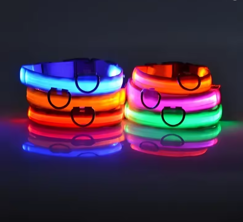 LED Dog Collar – Rechargeable Night Safety Glowing Pet Collar