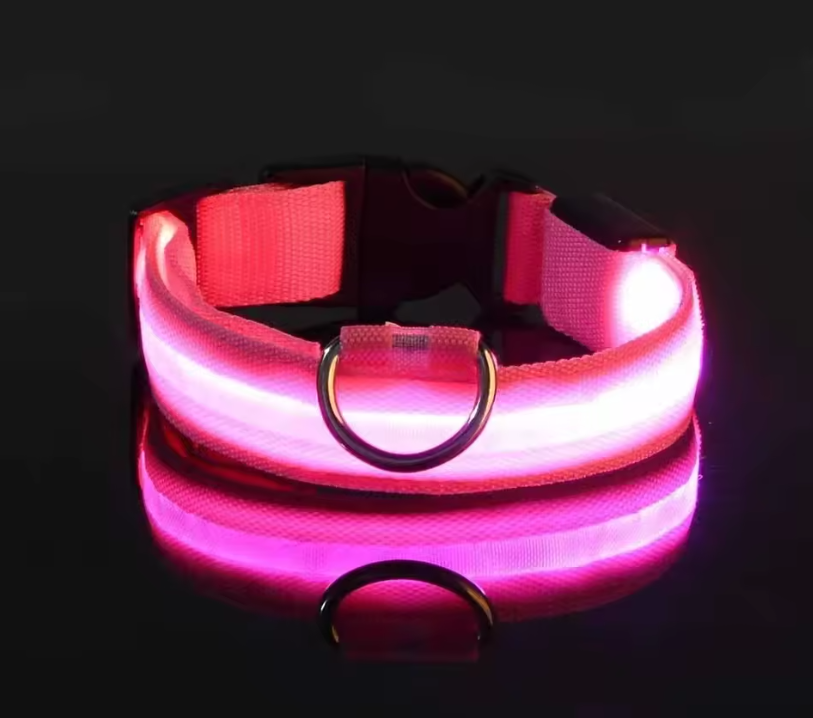 LED Dog Collar – Rechargeable Night Safety Glowing Pet Collar