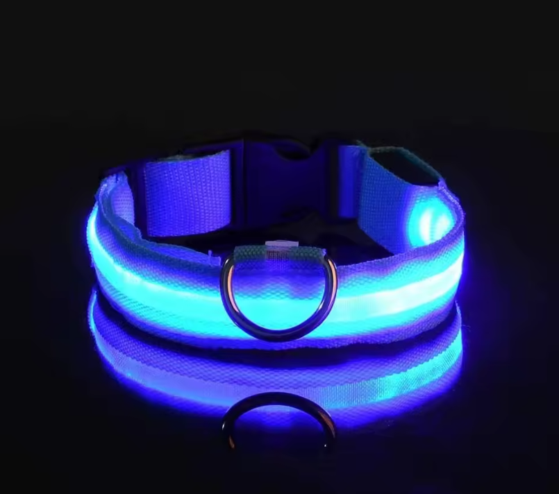 LED Dog Collar – Rechargeable Night Safety Glowing Pet Collar