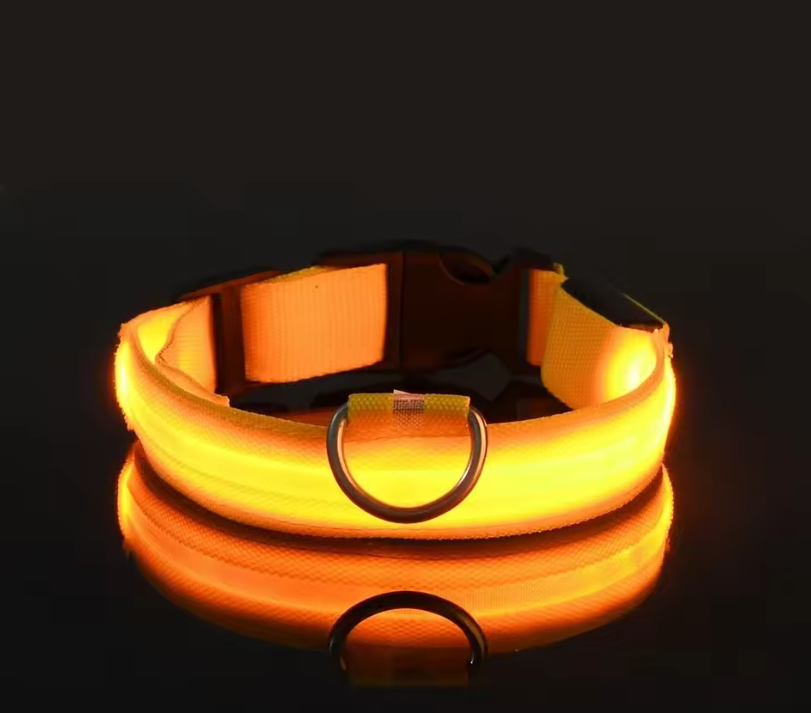 LED Dog Collar – Rechargeable Night Safety Glowing Pet Collar