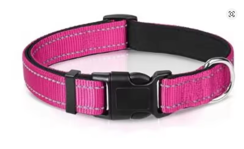 Reflective Adjustable Dog Collar – High Visibility Safety Collar for Dogs