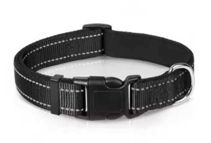 Reflective Adjustable Dog Collar – High Visibility Safety Collar for Dogs