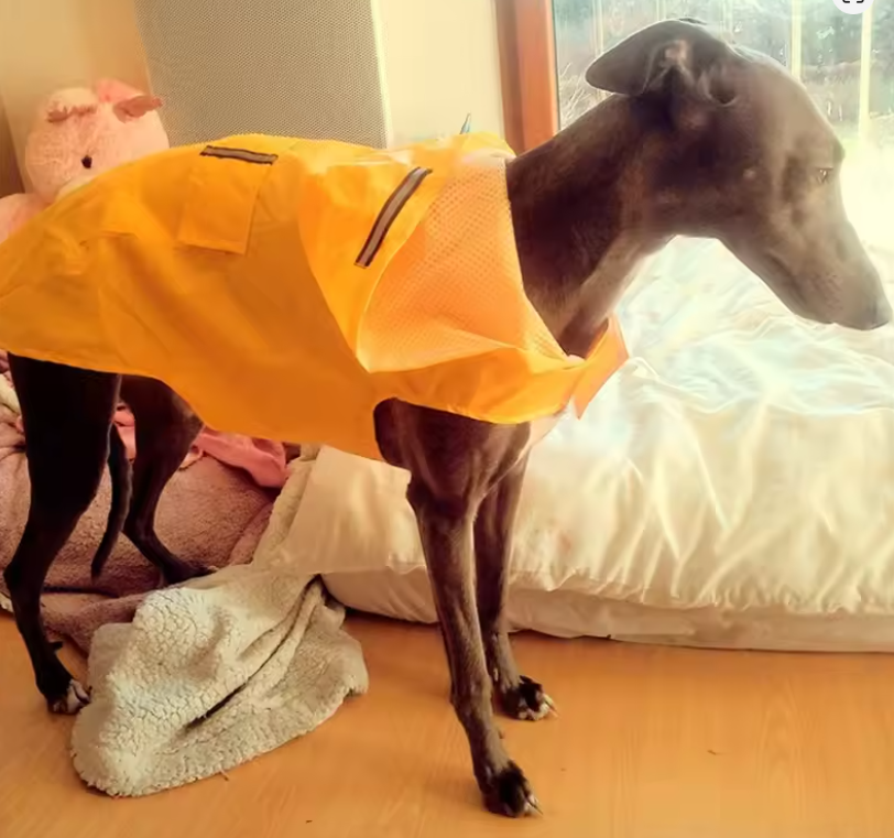 Reflective Waterproof Dog Raincoat – Hooded Rain Jacket for Dogs & Cats