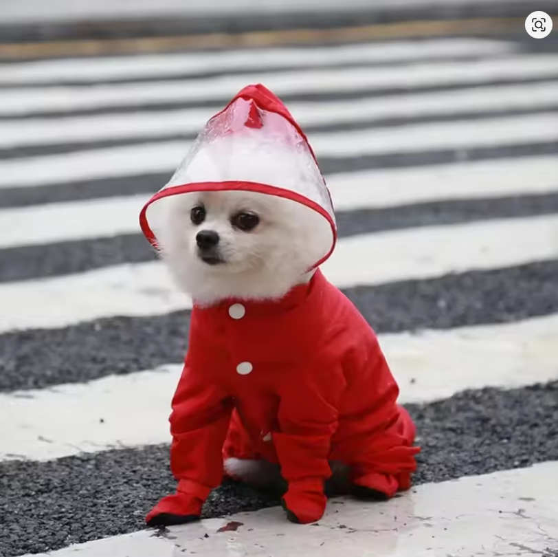 Full Body Waterproof Pet Raincoat with Boots – Transparent Hood Dog Rain Suit