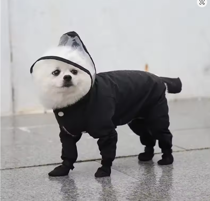 Full Body Waterproof Pet Raincoat with Boots – Transparent Hood Dog Rain Suit
