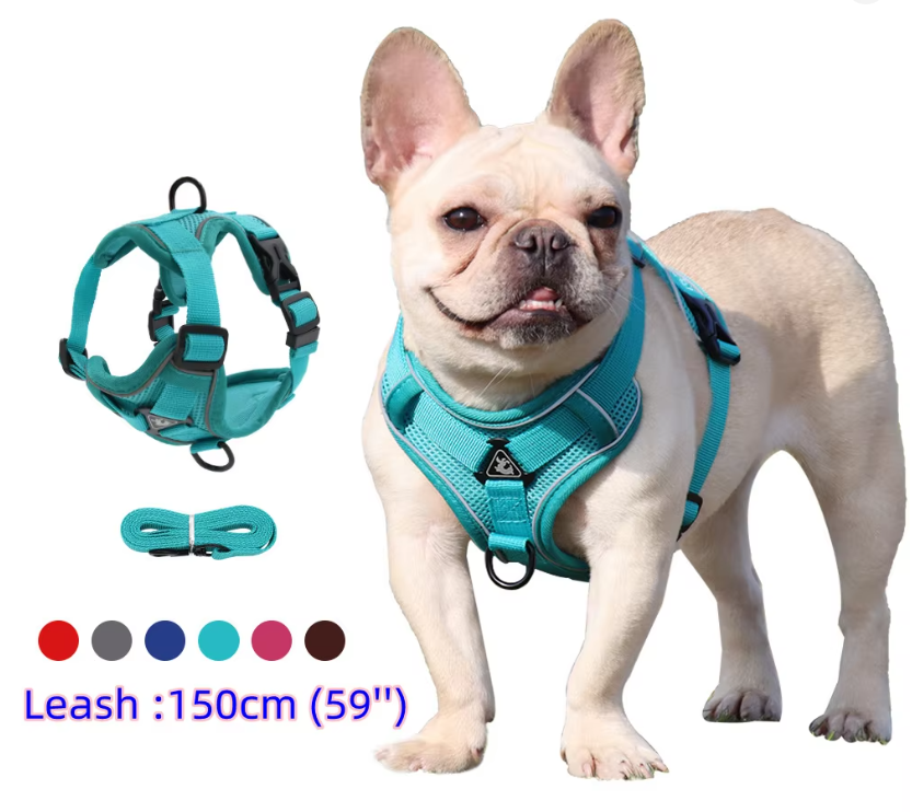 No-Pull Dog Harness & Leash Set – Adjustable Soft Mesh Vest for Small & Medium Dogs