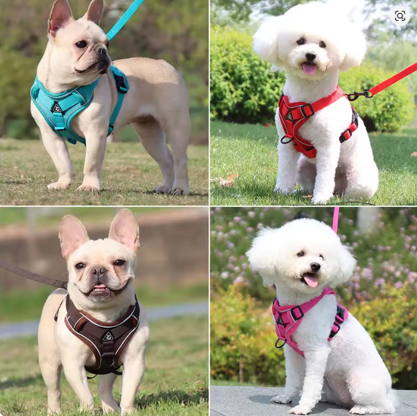 No-Pull Dog Harness & Leash Set – Adjustable Soft Mesh Vest for Small & Medium Dogs