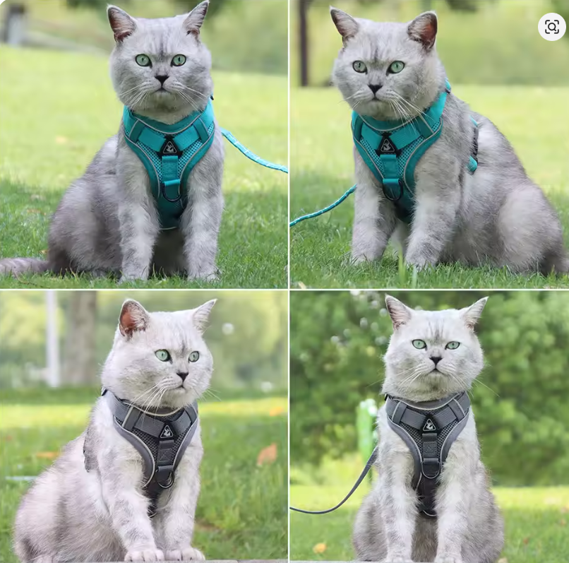 No-Pull Dog Harness & Leash Set – Adjustable Soft Mesh Vest for Small & Medium Dogs