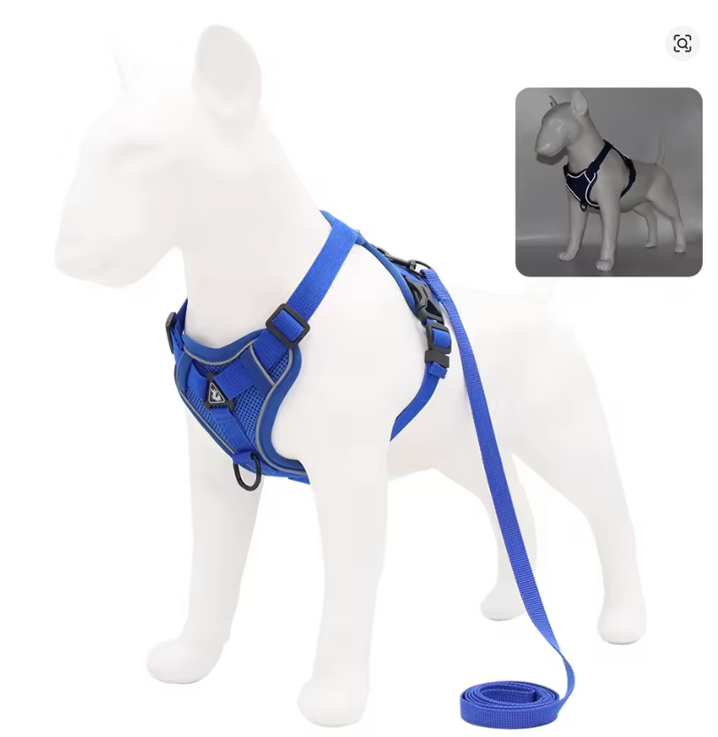 No-Pull Dog Harness & Leash Set – Adjustable Soft Mesh Vest for Small & Medium Dogs