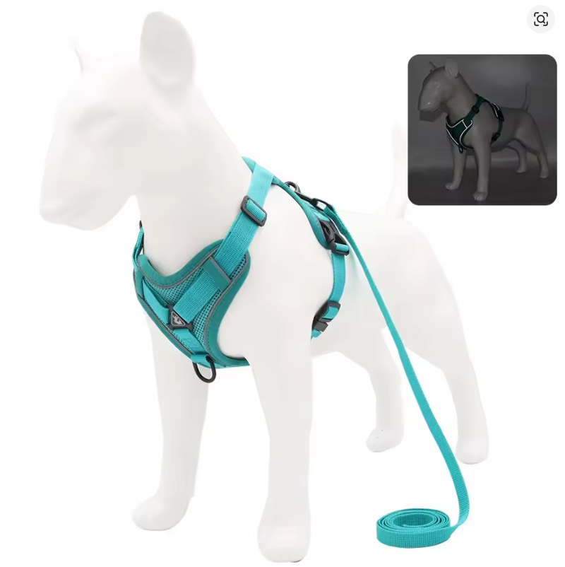 No-Pull Dog Harness & Leash Set – Adjustable Soft Mesh Vest for Small & Medium Dogs
