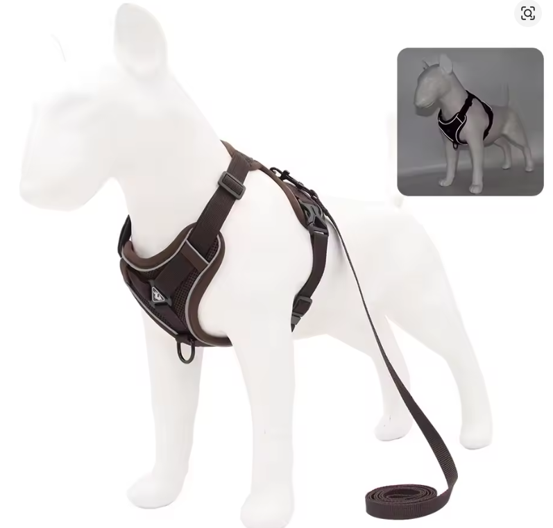No-Pull Dog Harness & Leash Set – Adjustable Soft Mesh Vest for Small & Medium Dogs