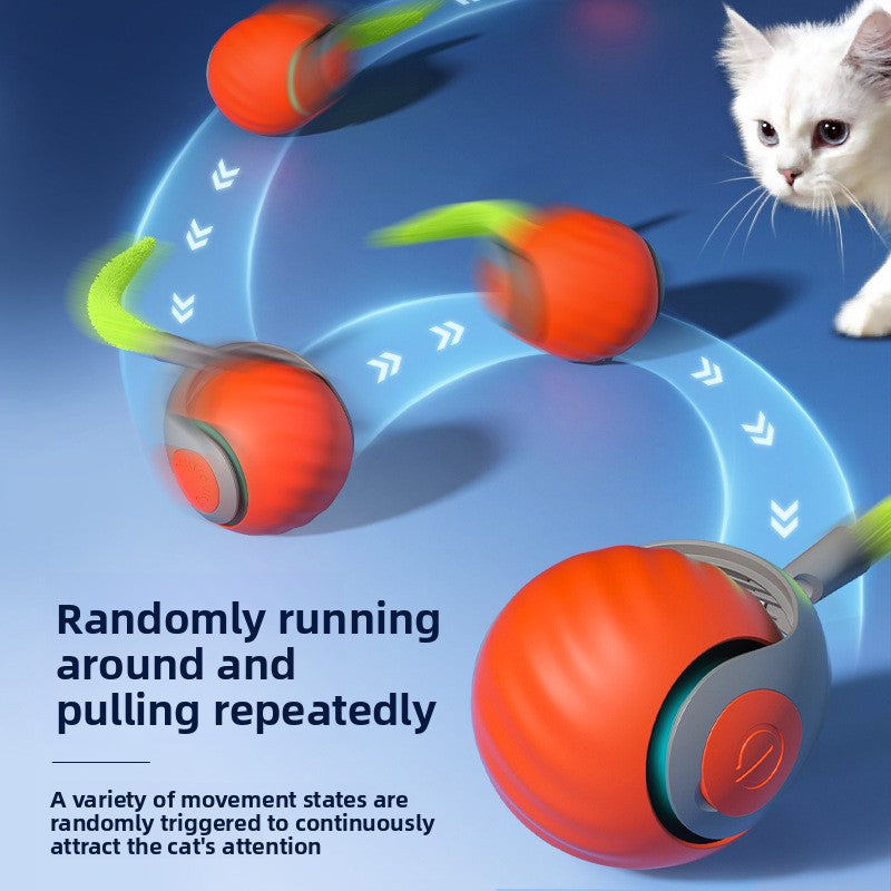Interactive Cat Teaser Ball Toy