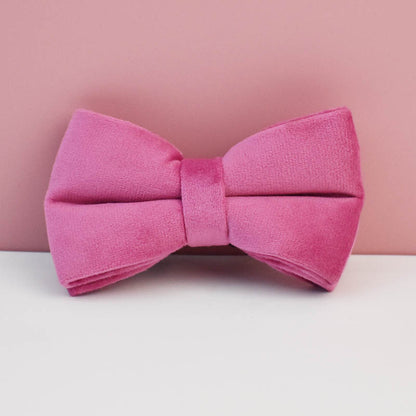 Velvet Dog Collar Leash Bow Tie