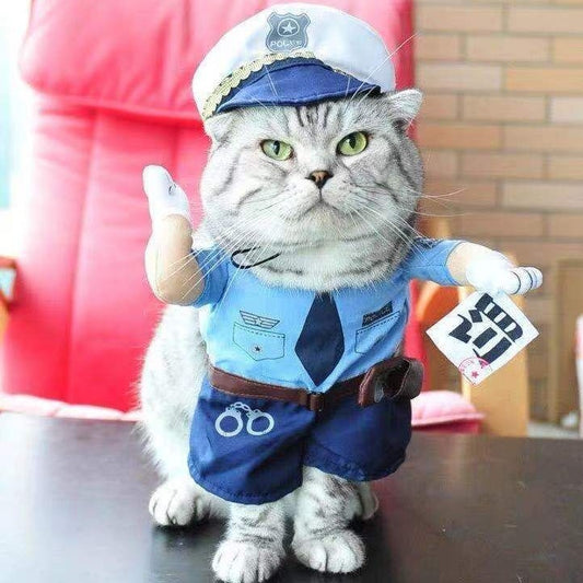 Funny Pet Transformation Costume