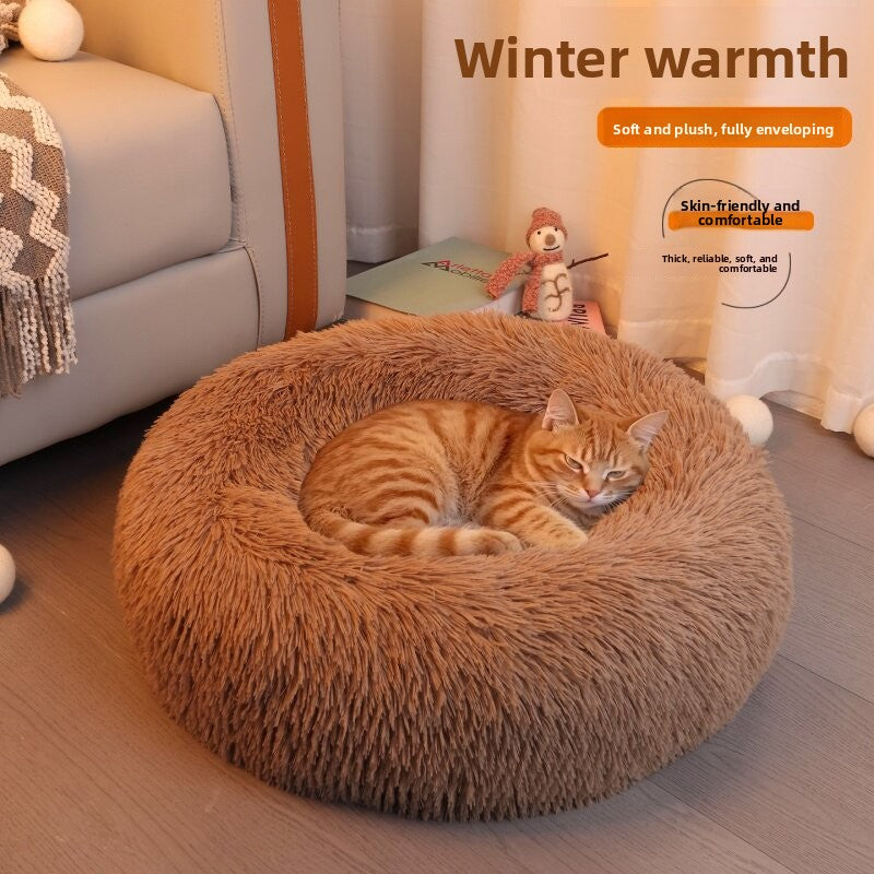 Cat bed
