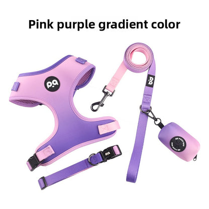Adjustable Dog Leash and Collar Set