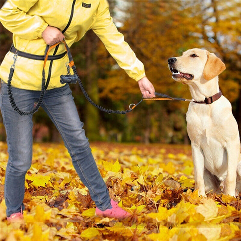 Retractable Hands-Free Dog Running Leash with Waist Belt