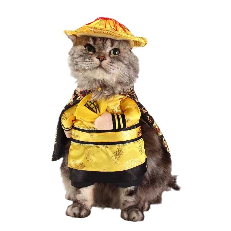Funny Pet Transformation Costume