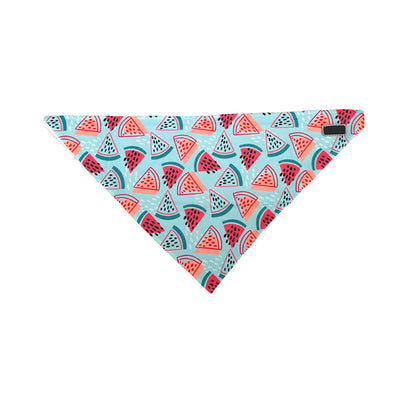Summer Watermelon Dog Harness Set
